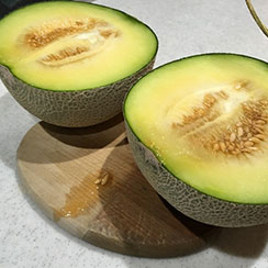 メロンは庭で育てます。