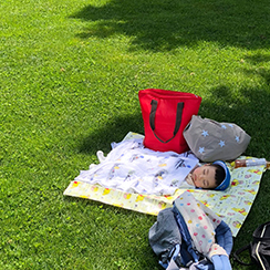 北海道なら映えスポット独り占め